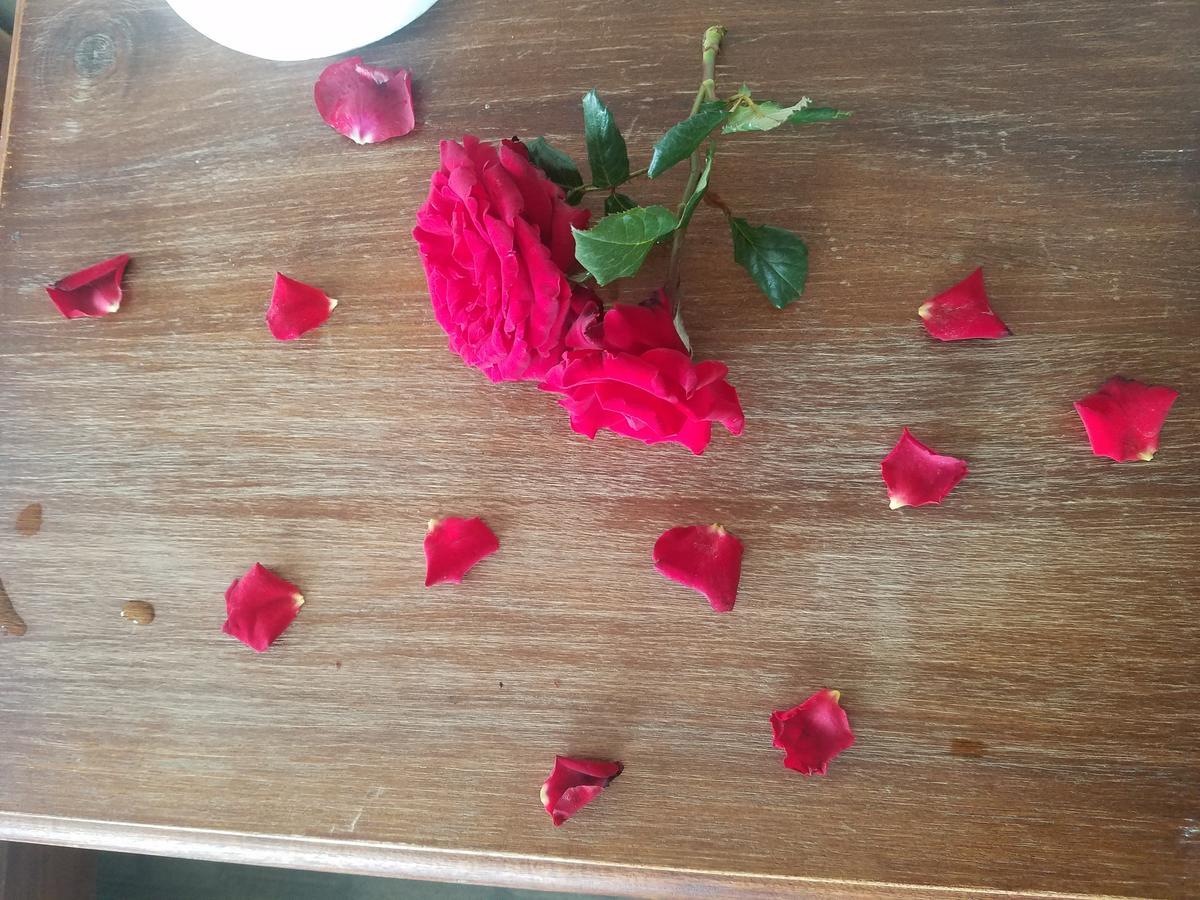 דה לאט Lam Phan Hotel Villa מראה חיצוני תמונה