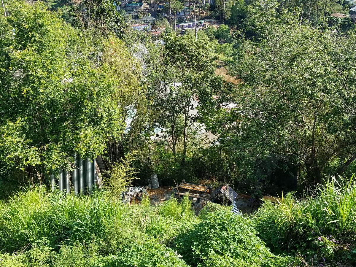 דה לאט Lam Phan Hotel Villa מראה חיצוני תמונה